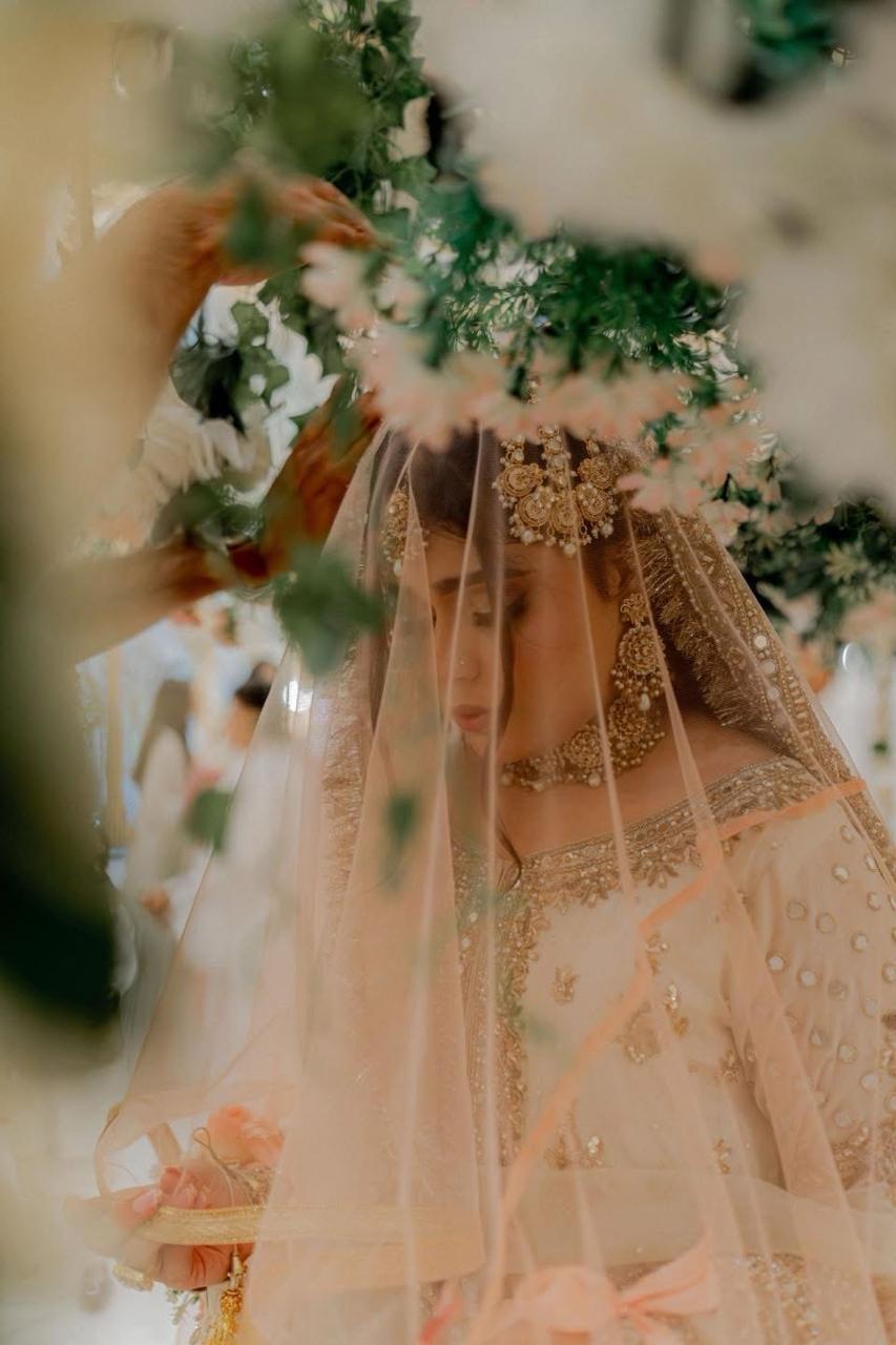 Luxury Blush Pink Bridal Veil with Embellished Lace Border – Elegant Long Wedding Veil with Train - Image 2