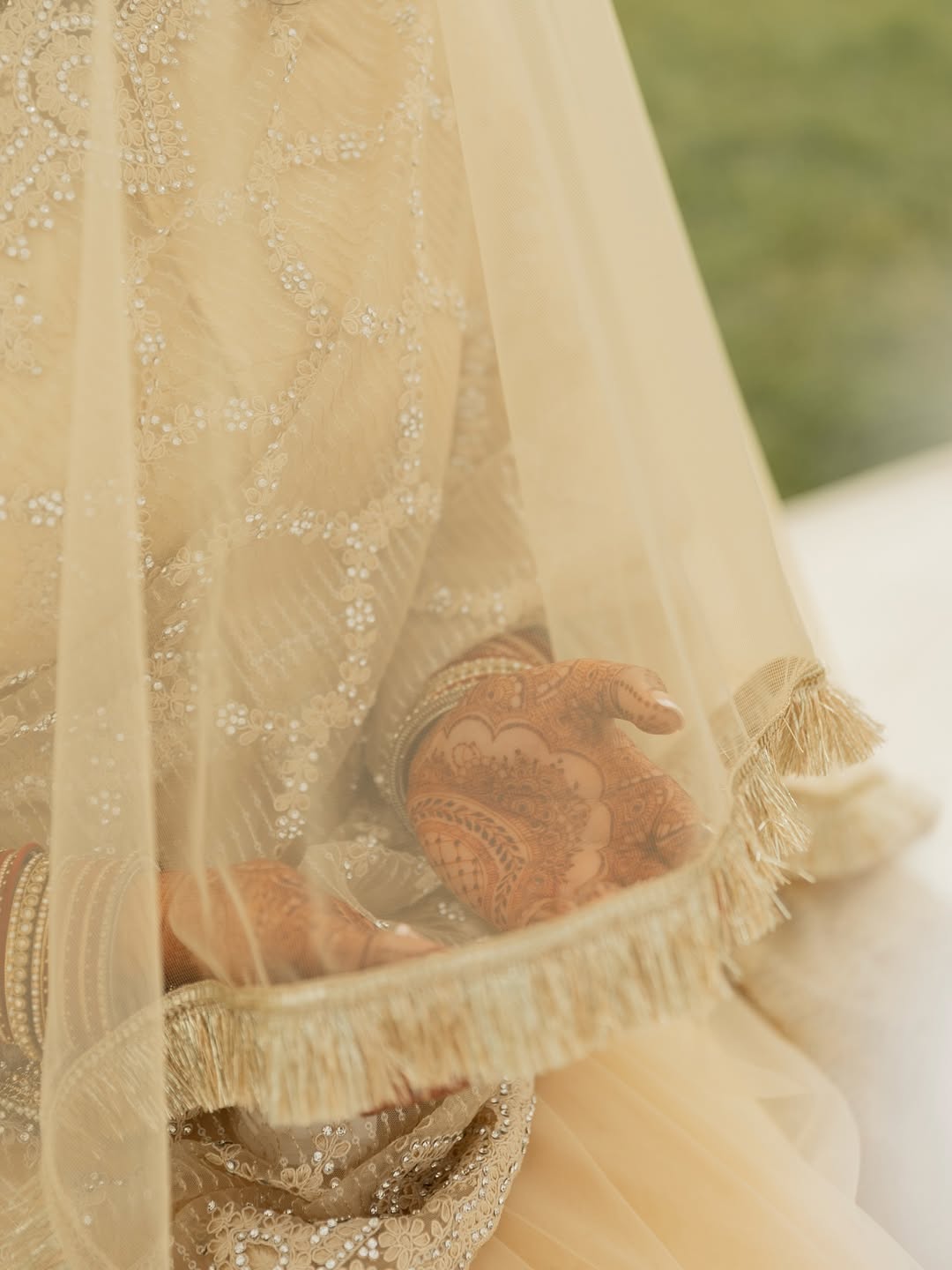 Luxury Champagne Bridal Veil with Delicate Embellished Border – Elegant Long Wedding Veil for Brides - Image 3