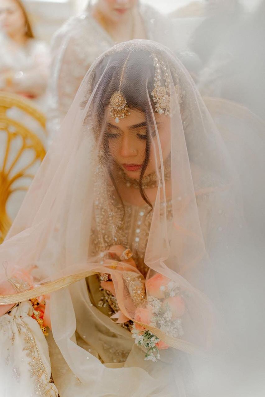 Luxury Blush Pink Bridal Veil with Embellished Lace Border – Elegant Long Wedding Veil with Train