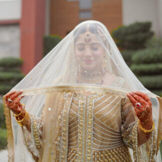 Ivory Gold Nikkah Dupatta USA with sheer fabric, delicate embellishments and scalloped gold border for Pakistani and Muslim brides.