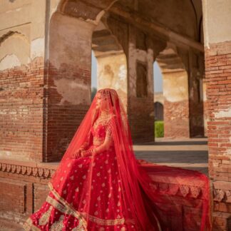 Red Bridal Nikkah Dupatta USA with sheer fabric and elegant gold embellished border for traditional Pakistani wedding celebrations.